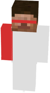 steve2