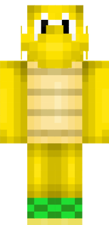 The Lonely Koopa