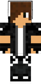 rafael_520