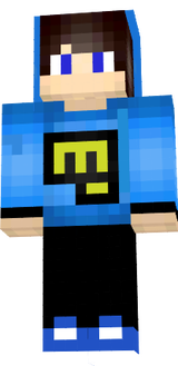Skin 1