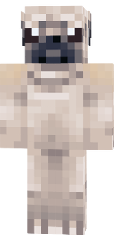 pug