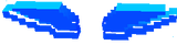 elytra