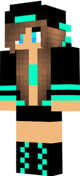 dssf