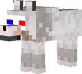 3D Wolf