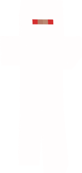 Preview of texture: white ninja