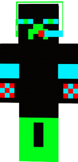 skin