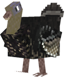 pavo femenino