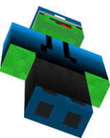 Derp Turtle Swag