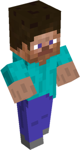 Steve Big brain