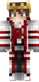 NetOyuncuYT