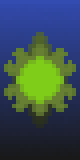turtles
