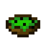 Cactus Soup