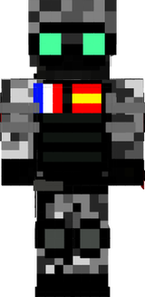 Garde fortnite france espagne