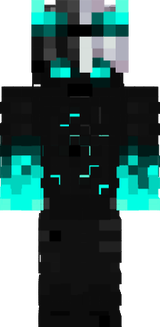skin2