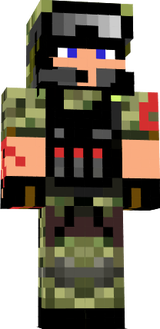 Skin 1