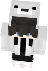 skin minecraft