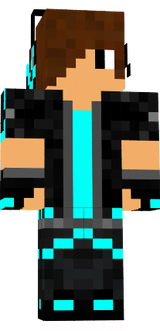 skin