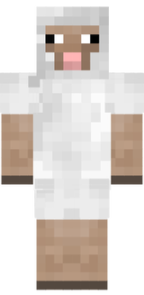 Schaf