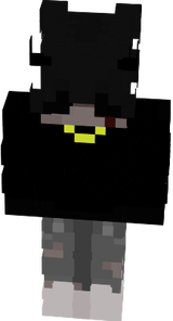 Suridzaki