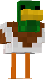 duck