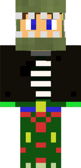 skin13