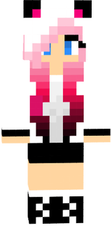 Skin de minecraft