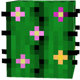 captus uwu 