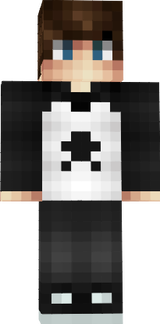 dh noas