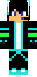 skin