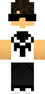 SkyCraftBr