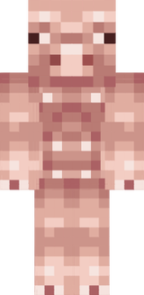 pig