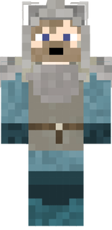 Got (Arryn Solider)