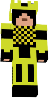 KingGuard Skin