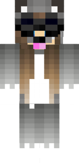 EzAsh