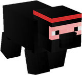 ninja pig