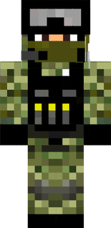 Steve512