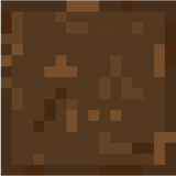 dirt_podzol_top