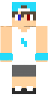 zFlex_