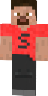 sallkycc_skin2