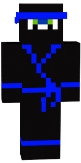 Ninja Sonic