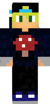 Skin HG - Craftlandia
