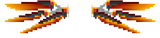 elytra