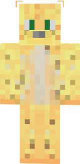 myskin