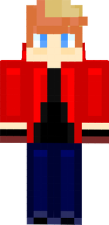 fan made skin