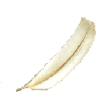 feather