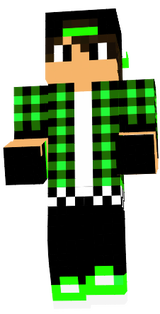skin