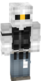 newskinbW