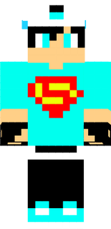 skin 2