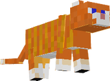 cat red