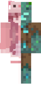 hani drown